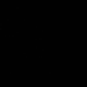 Meet your Posher, Bobby